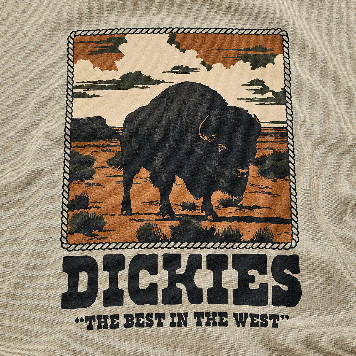 Dickies Darrtown T-Shirt