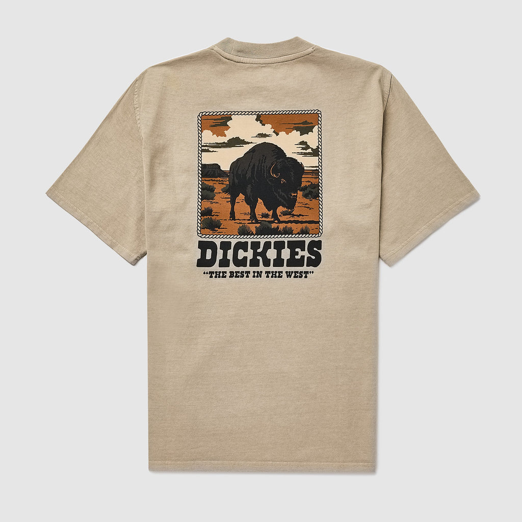 Dickies Darrtown T-Shirt