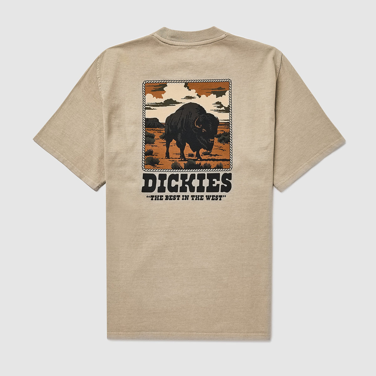 Dickies Darrtown T-Shirt