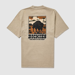 Dickies Darrtown T-Shirt